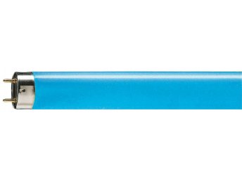 Philips T8 18W/Blau G13